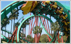 Busch Gardens Tampa Attractions